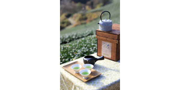 茶農家とお茶を嗜む オンライン茶話会〔煎茶付き〕
