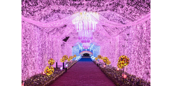 御殿場市からリモート中継　富士山と食とイルミネーション