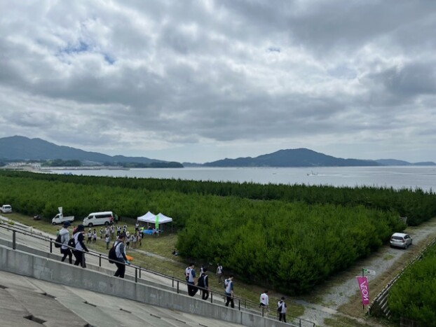 高田松原の除草ボランティアに行ってきました。