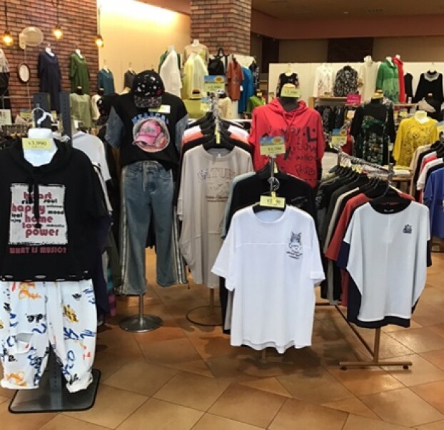 サマーコレクション