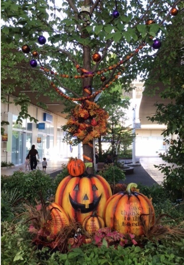 Halloweenフォトスポットが登場!