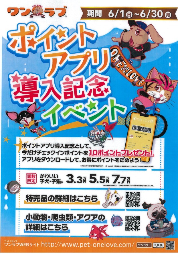ワンラブ【ポイントアプリ導入記念イベント開催のお知らせ】