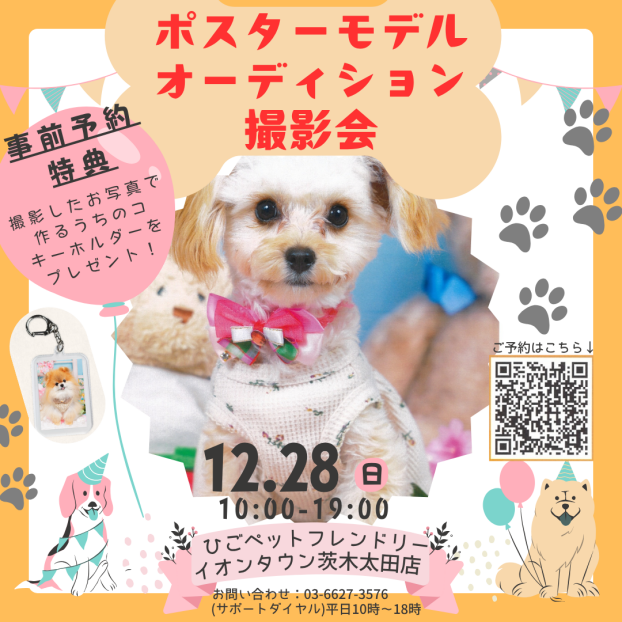【ワンちゃん限定🐾】ポスターモデルオーディション撮影会
