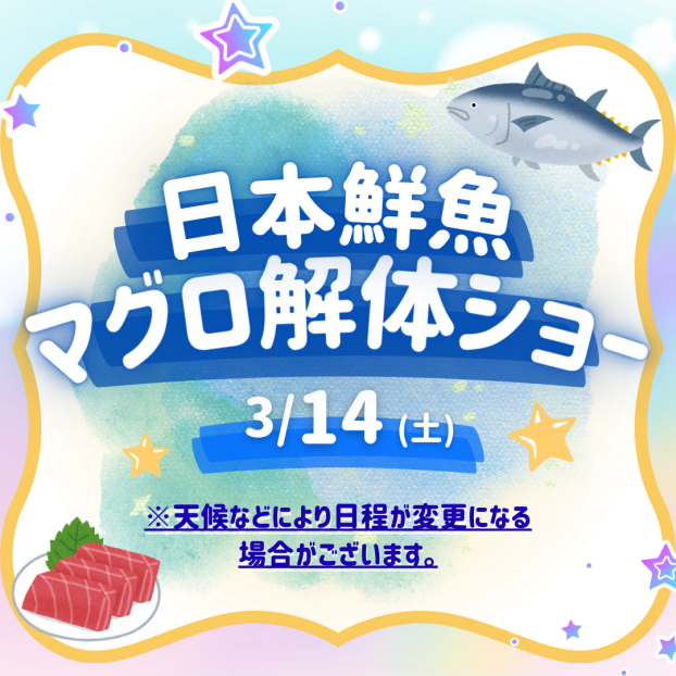 【日本鮮魚】マグロ解体ショー
