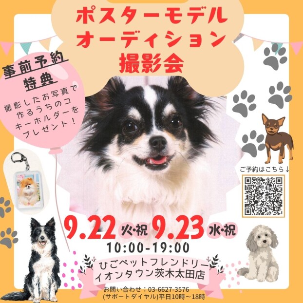 【ワンちゃん限定🐾】ポスターモデルオーディション撮影会
