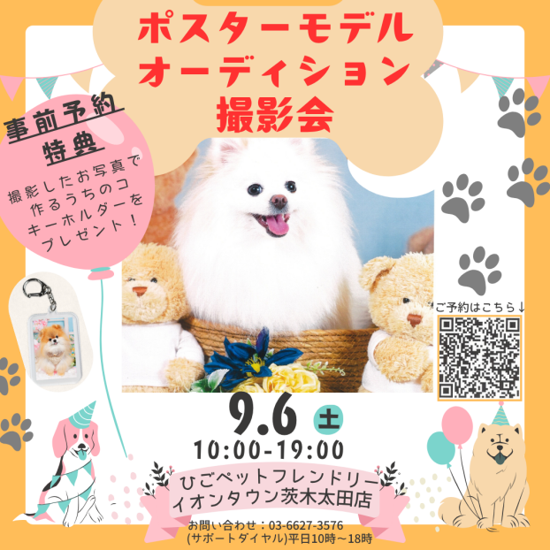 【ワンちゃん限定🐾】ポスターモデルオーディション撮影会