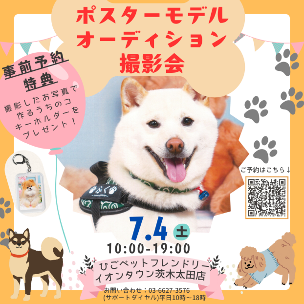 【ワンちゃん限定🐾】ポスターモデルオーディション撮影会