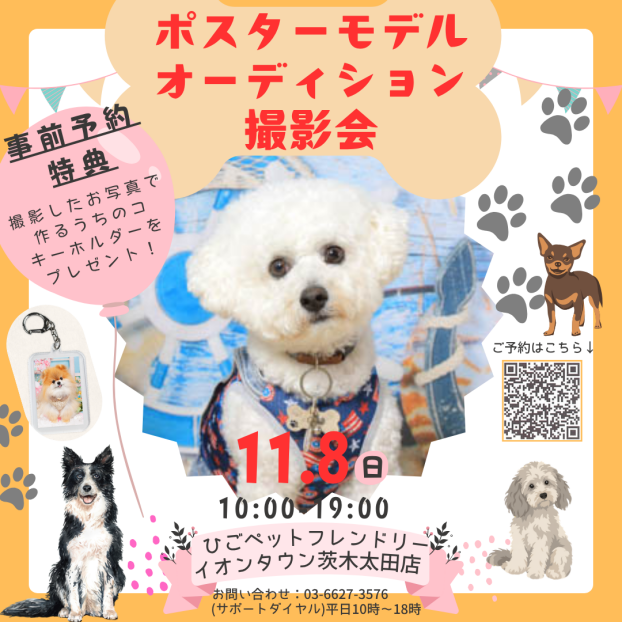 【ワンちゃん限定🐾】ポスターモデルオーディション撮影会