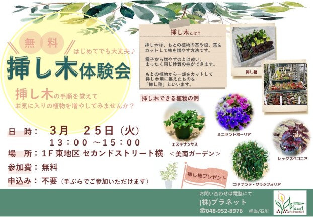 3/25 挿し木無料体験会♬