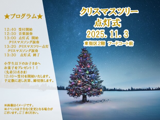 11/3(月祝)クリスマスツリー点灯式🎄