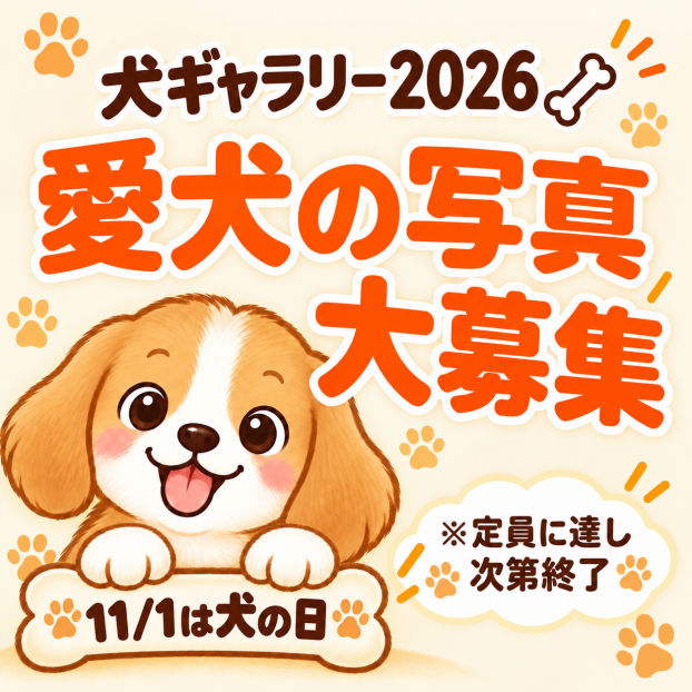 【好評につき募集継続中！】犬ギャラリー2026