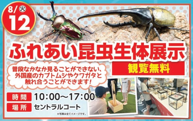 ふれあい昆虫生体展示
