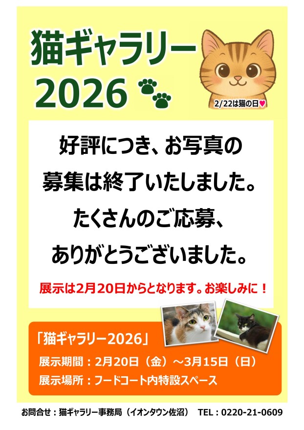 猫ギャラリー2026【募集終了いたしました】
