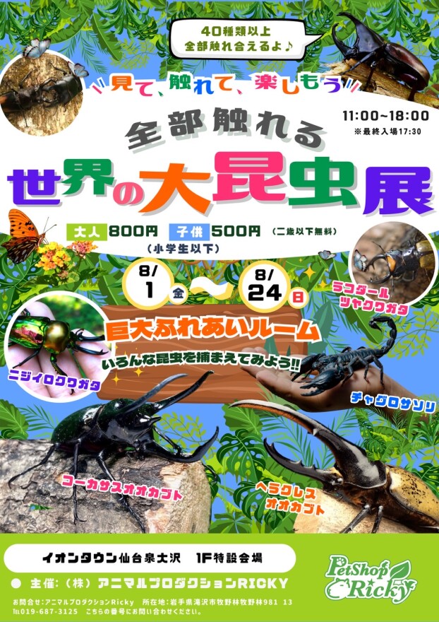 8/1～8/24　世界の大昆虫展