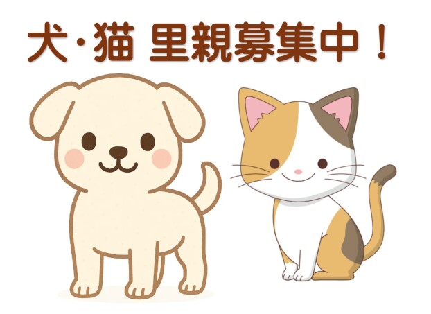 LIFEの会　犬・猫　里親募集中！