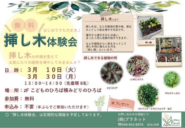 挿し木体験会開催