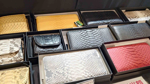 問屋直売催事実施中♪