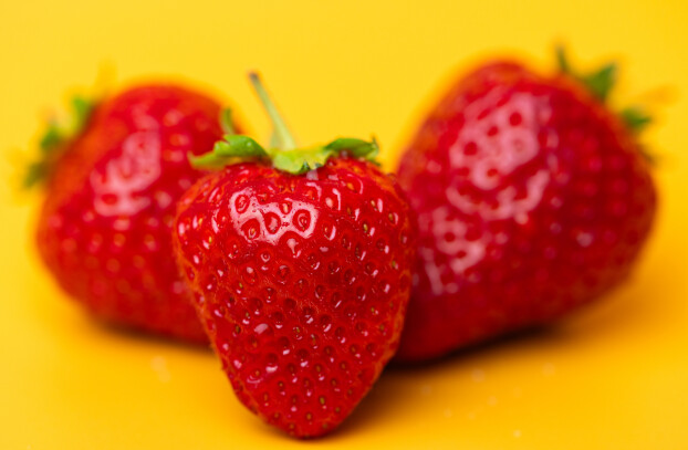 3種のプレミアム苺を食べ比べも　お取り寄せで季節を楽しむ会