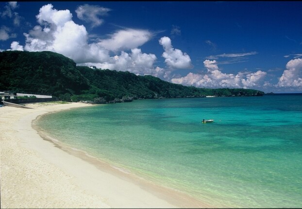 奄美群島世界自然遺産登録4周年記念　魅惑の奄美群島フェア