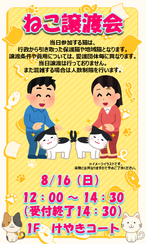 ねこ譲渡会
