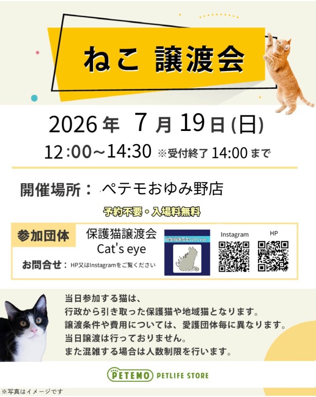 ねこ譲渡会
