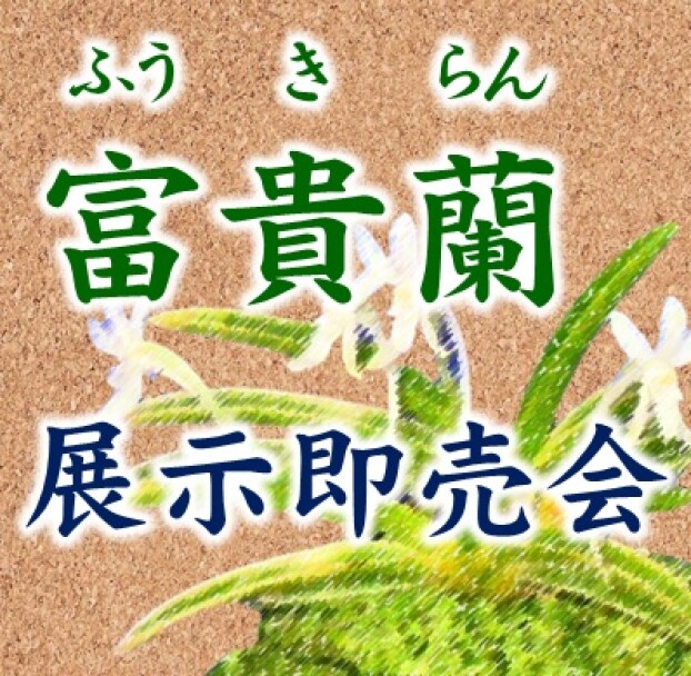 富貴蘭展示即売会