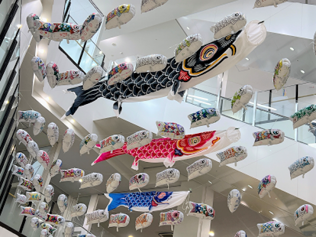 こいのぼり🎏展示スタートしました！