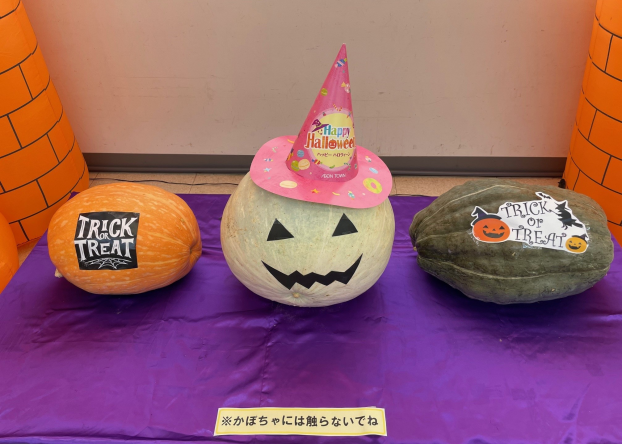 今年もやります！　かぼちゃの重さあてクイズ！