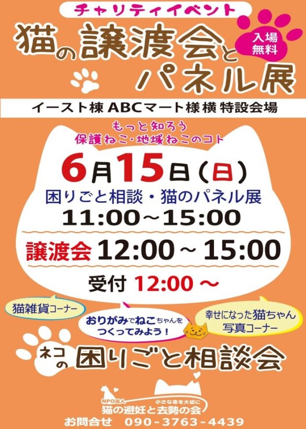 6/15(日) 猫の譲渡会とパネル展
