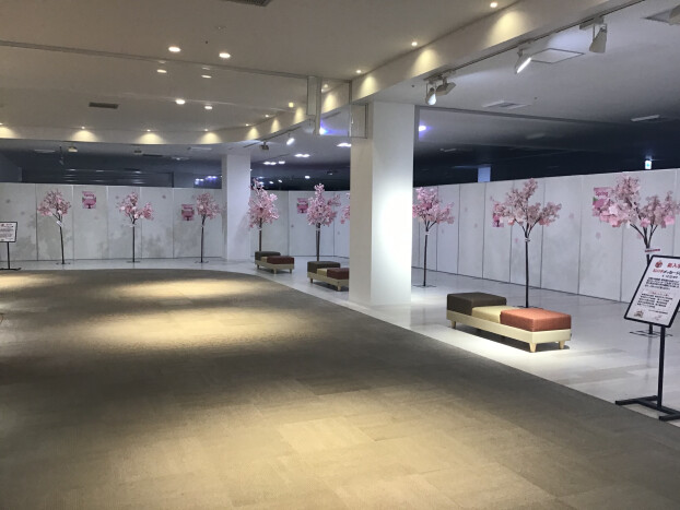 新入学🌸桜の木メッセージ展