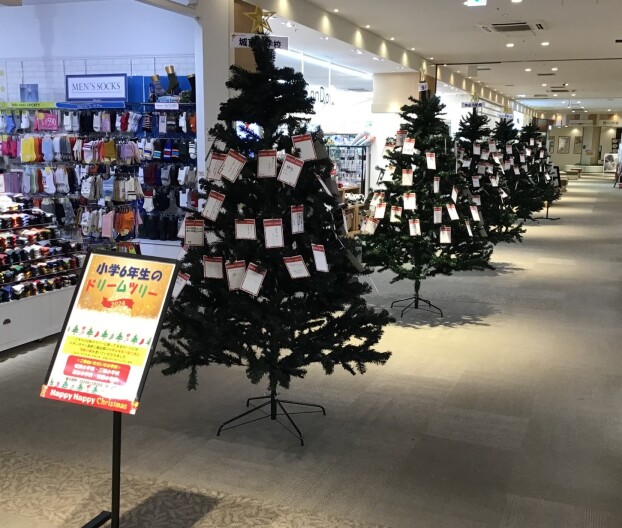 小学６年生のドリームツリー2025