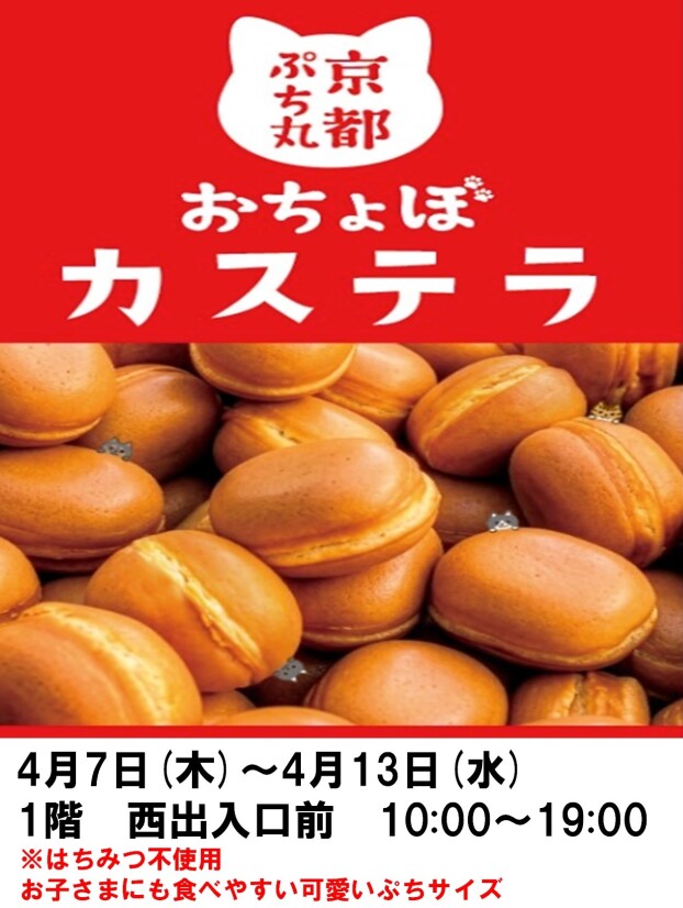 京都ぷち丸　おちょぼカステラ