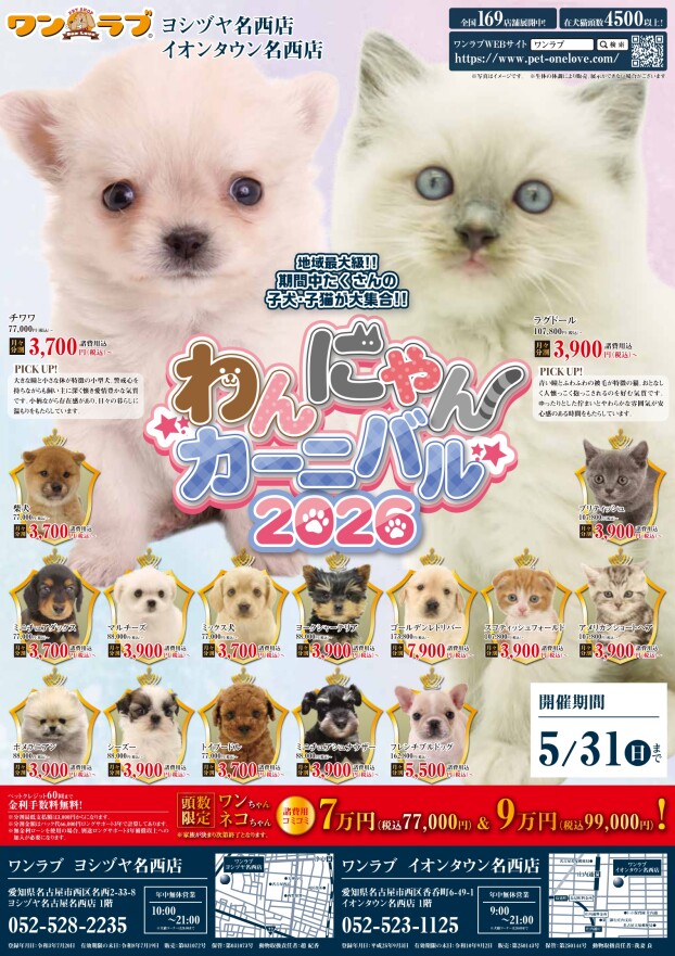 わんにゃんカーニバル2026 チラシ