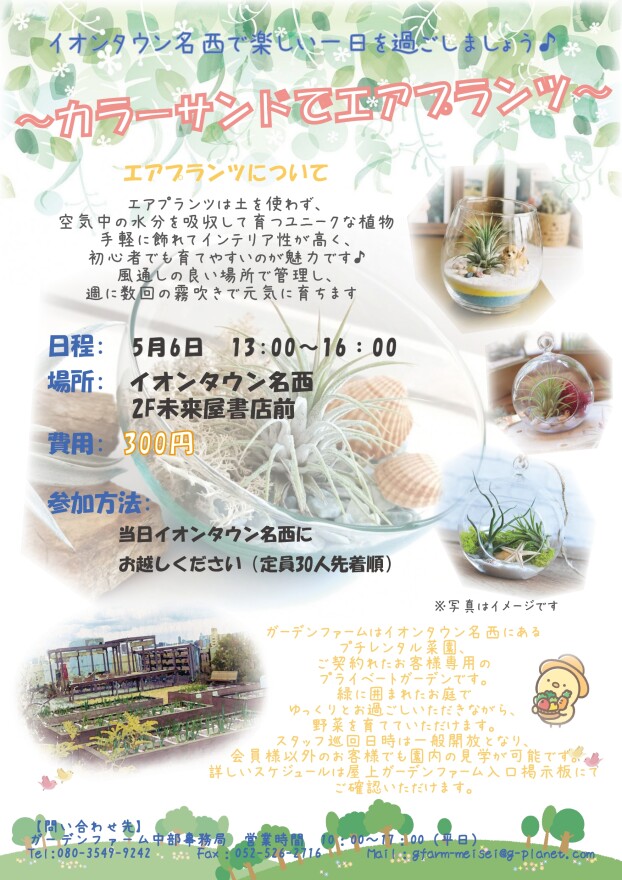 カラーサンドでエアプランツ