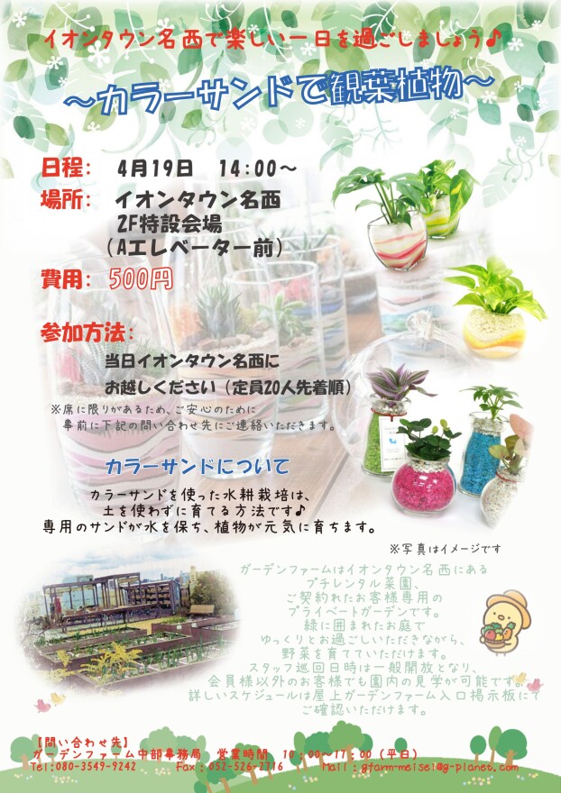 カラーサンドで観葉植物