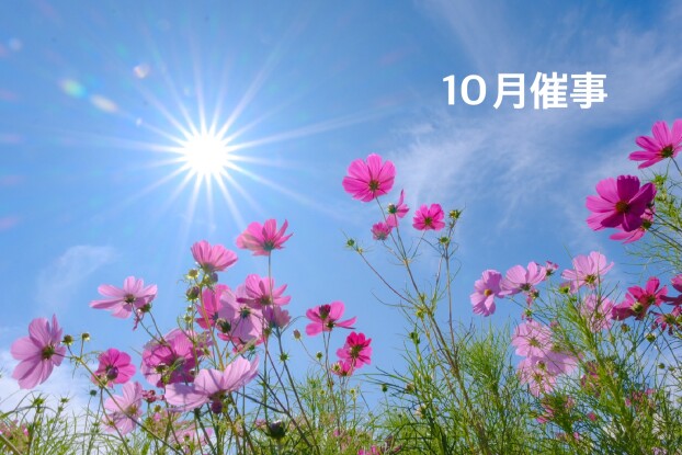 10月の催事