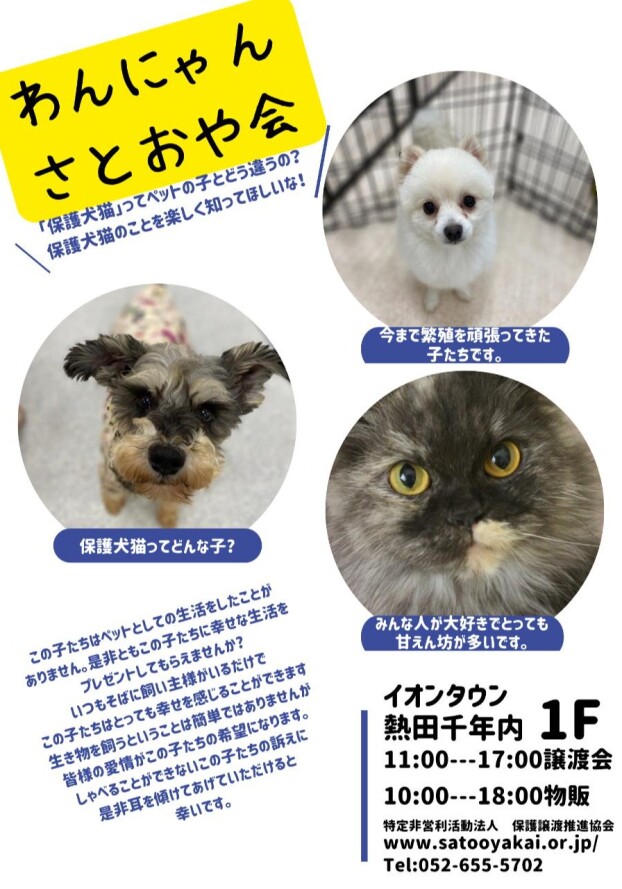 譲渡会のお知らせ