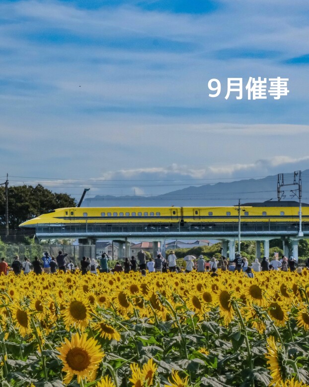 9月の催事