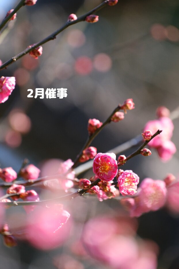 ２月の催事