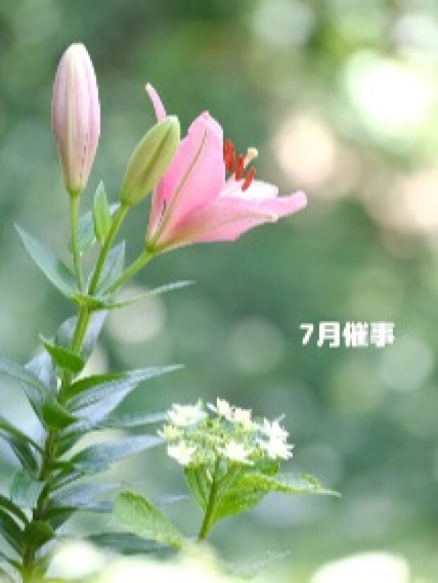 7月の催事