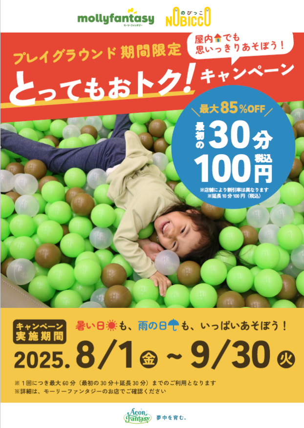 屋内プレイグラウンド30分税込100円