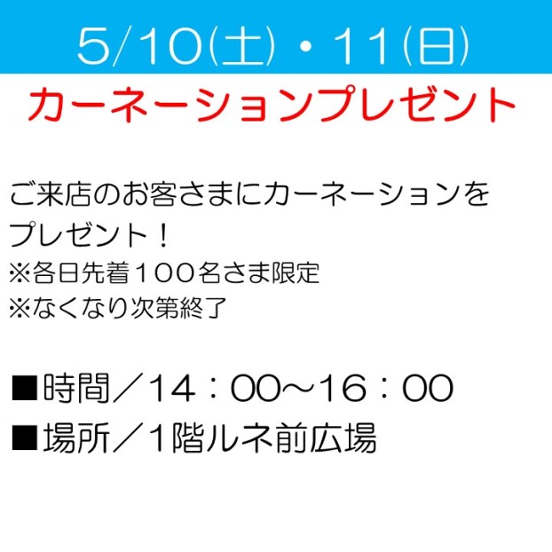 カーネーションプレゼント