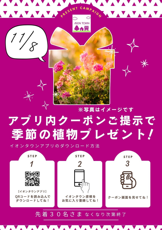 11月8日（土）イオンタウンアプリ クーポン提示で季節の植物プレゼント
