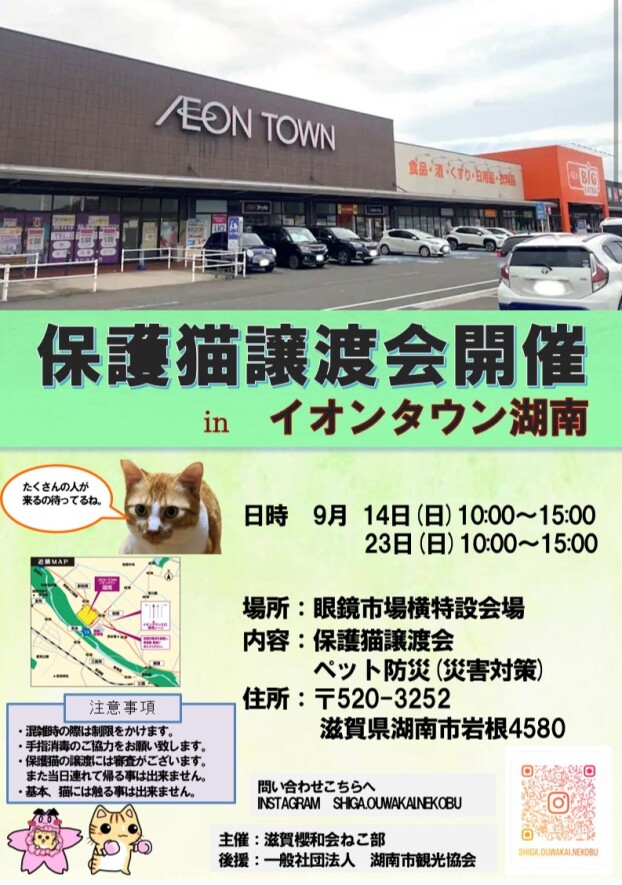 保護猫譲渡会