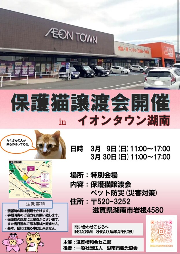 保護猫譲渡会