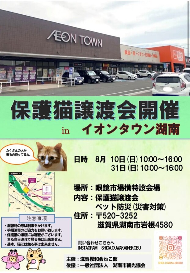 猫譲渡会