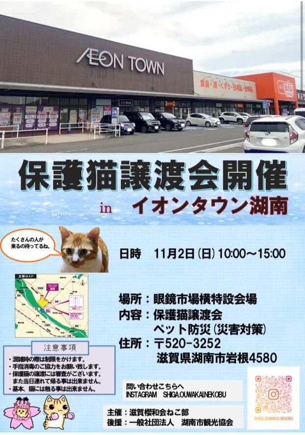 保護猫譲渡会