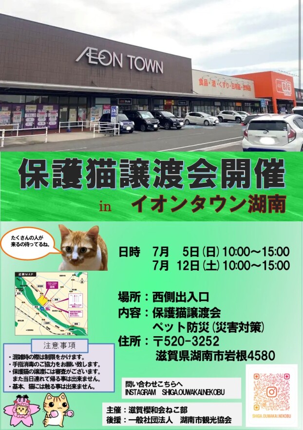 ねこ譲渡会