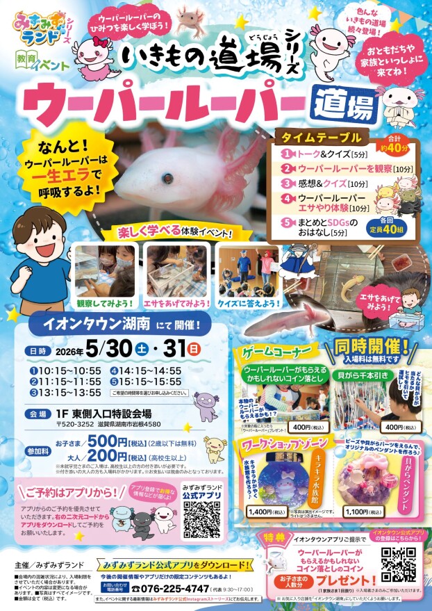 みずみずランド🐟ウーパールーパー道場