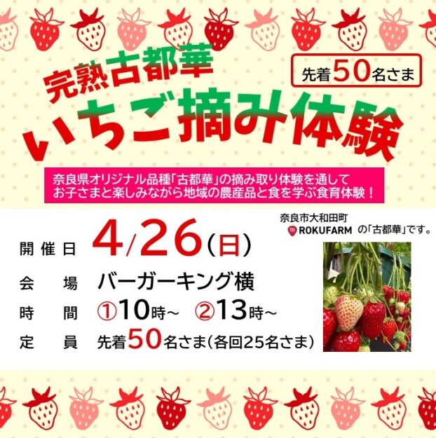 4/26（日）完熟古都華　いちご摘み体験